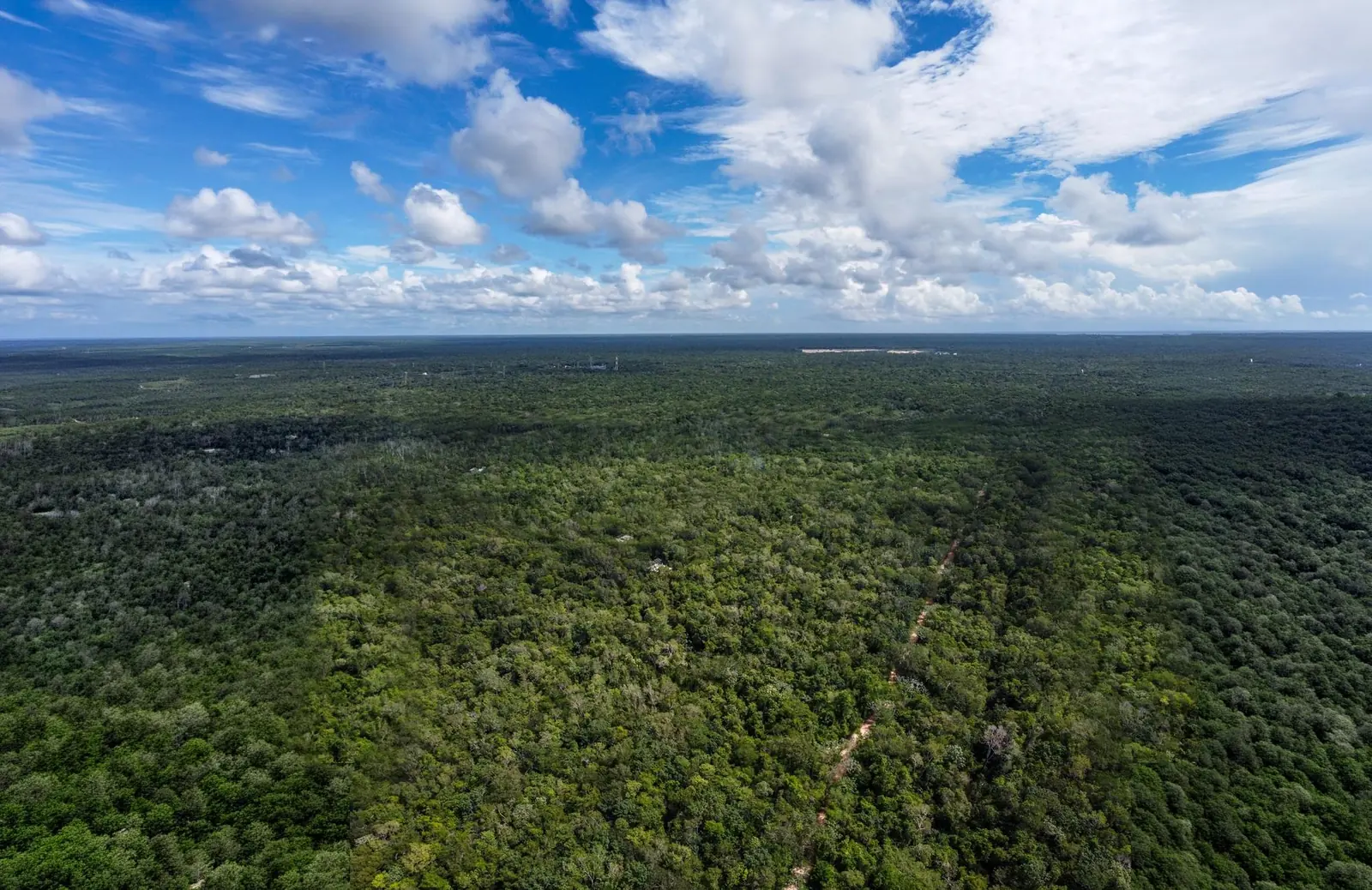 Wide drone view over flat jungle to the horizon under scattered clouds