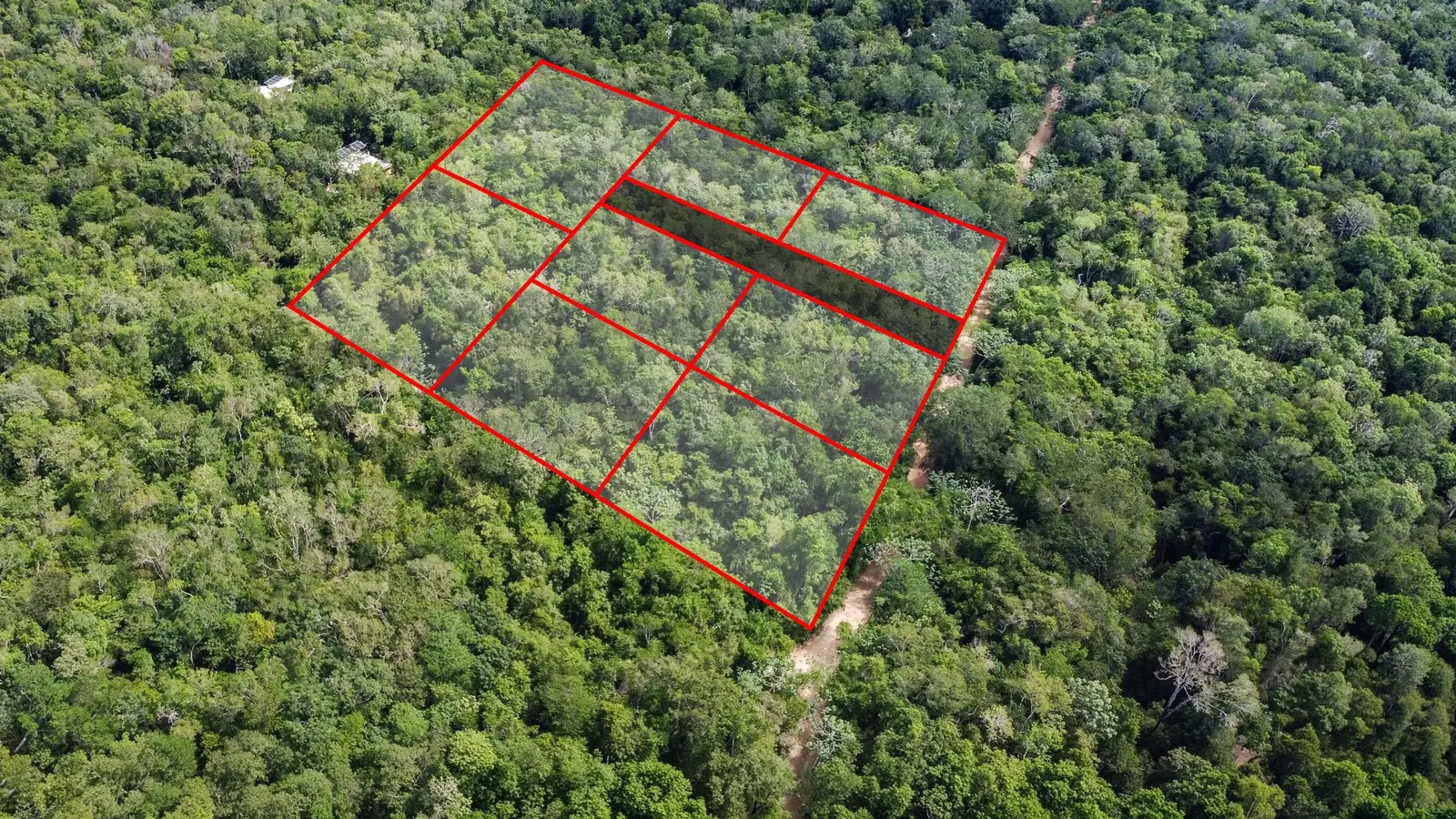 Drone view of dense jungle with the parcel outlined in red and divided into individual lots along an internal access strip, beside an unpaved road